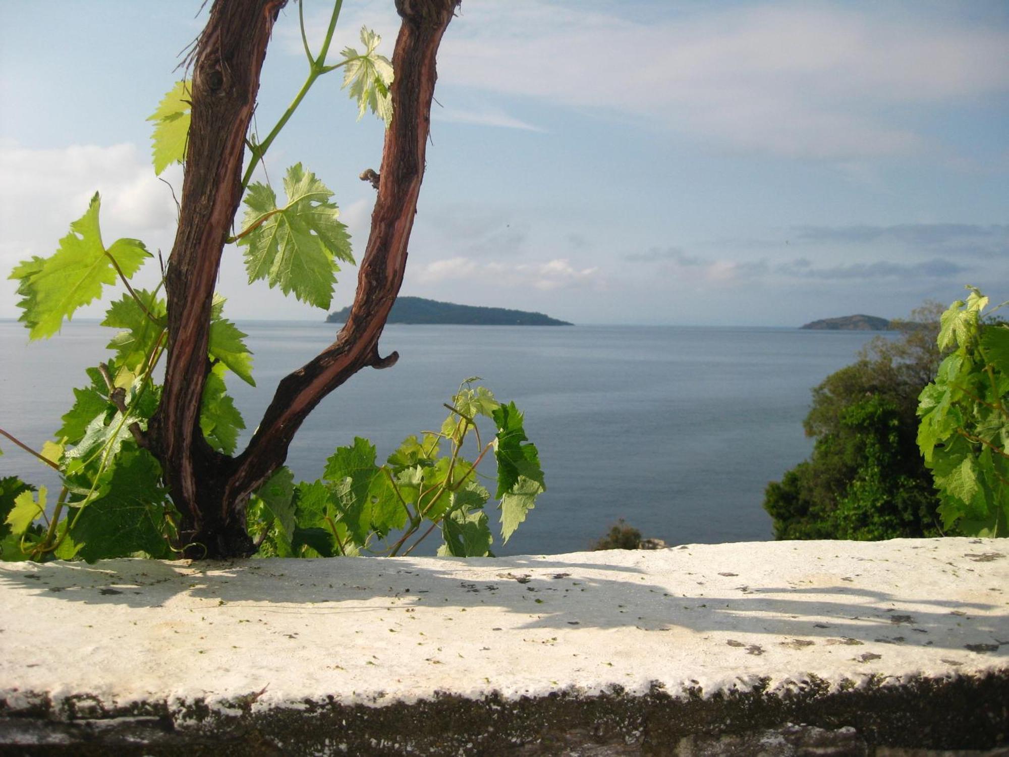 Hotel Villa Orsa Skiathos Town Exterior photo